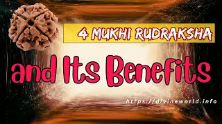 4 Mukhi Rudraksha and Its Benefits