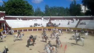 Cópia de Charanga GNR Arruda dos Vinhos