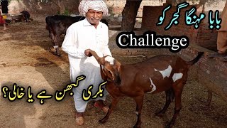 Challenge To Baba Mehnga Gujjer