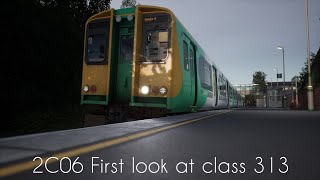 First look at the 313 For East Coastway | 2C06 Brighton To Seaford