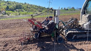 Weinberg Neubepflanzung Uhlbach | Weingut Zaiß | Stuttgart-Obertürkheim