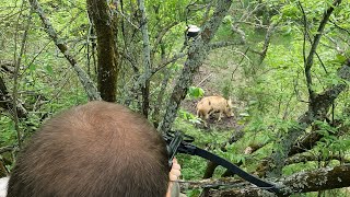 Hog Hunting with a Survival Bow