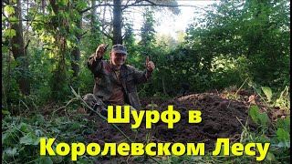 ДРЕВНЕЕ СЕРЕБРО С  ДОЛГОЖДАННОГО ШУРФА В КОРОЛЕВСКОМ ЛЕСУ ! ЧАСТЬ 1 .Treasure Hunters  Metallist