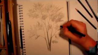 How to Draw a Realistic Tree