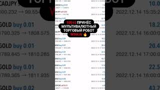 Торговый робот WINKAI принес 5954$ профита с депозитом в 10 000$ Реальный результат клиента