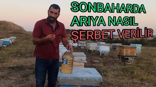 Sonbaharda Şerbet Ölçüsü Nasıl Olmalı | Arılara Şerbet Nasıl Verilir Uygulamalı anlatım ne fayda