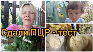 Что показал ПЦР-тест/Назначили антибиотики/Солим самые вкусные огурцы/Ужин/Как сварить домашний сыр