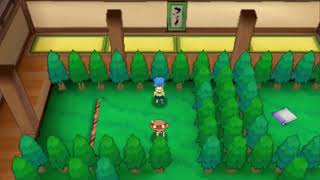 Pokémon Omega Ruby & Alpha Sapphire The Trick House