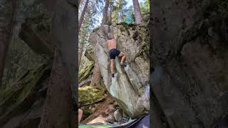 Mörderballet Light 7A / V7 - Magic Wood, Switzerland