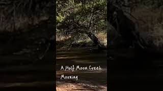 Half Moon Creek Morning