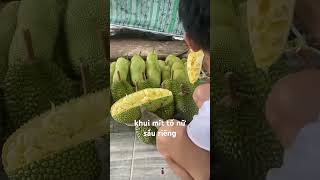 trái mít 200 múi #cholachbentre #fruit #mitt#food