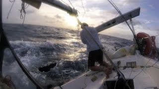 How to poop overboard - Ep42 - The Sailing Frenchman