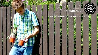 May Garden Update (Part 1) | Jack Shilley