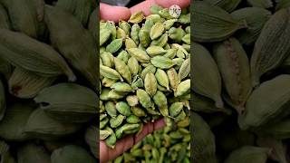 इलायची खाने के फायदे | Benefits of eating cardamom | Benefits of cardamom | health tips #shorts