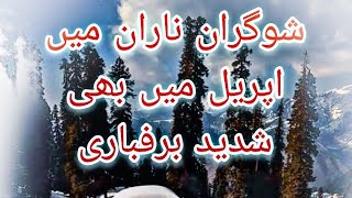 Shogran Siripaye in Winters SnowFall | Naran Kaghan | My Travel vlog part 1 | Snowfall In siripaye