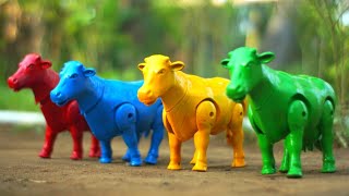 COLLECTING TOY COW, GREEN COW AND RED COW