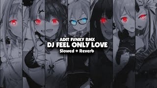 DJ FEEL ONLY LOVE ( Slowed + Reverb ) 🎧