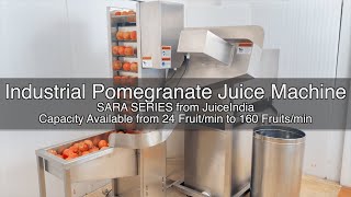 Pomegranate Juice Machine | For Large Pomegranate