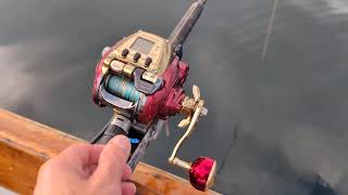 Daiwa seaborg 600mj autojigging