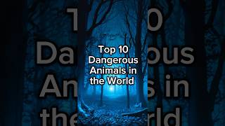 Dangerous 😨😨 Animals in the World #animals #viral #trending