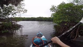 Exploring a Hidden Kayak launch in Tampa Bay, FL on a WINDY day