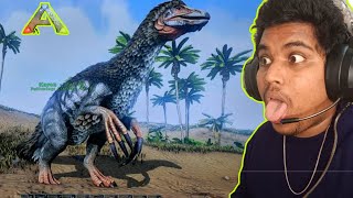 Tame Therizinosaurs Dinosaur Ark Survival Evolved Mobile