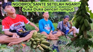 SALAM NGARIT BOLO‼️NGOBROL PENGARITAN DI PINGGIR LAHAN#kambingjawarandu #ngaritrumput