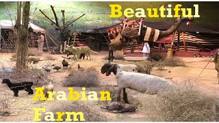 more fun & exciting part  Al bait Al othman museum Last part (Vlog#120)