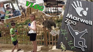 29.06.2024 🇬🇧 //VLOG//🐅 MARWELL ZOO//🏼 Мы нашли его - он классный! //Life in UK//🚗Наша суббота