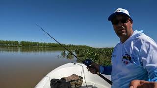 TREMENDO DIA DORADO!!! explotaron los doradillos del Rio de la Plata