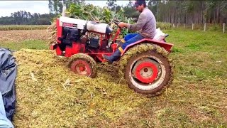 Agrale fazendo silagem e compactando !!!