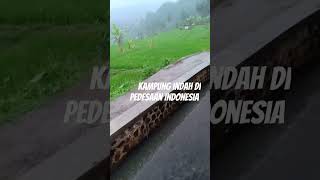 kampung indah di pedesaan saat turun hujan