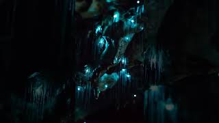 Magical Glowing caves 😱✨😍 | Waitomo Caves  #shorts