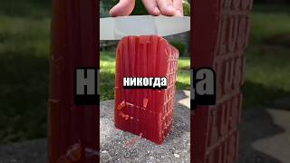 Случайные факты #факты