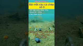 Bài mồi câu cá chép tự nhiên số 3 - Hồng Ân Fishing Tv #shots