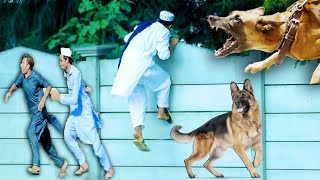 Fake Dog Bark Prank in Pakistan | Dog funny prank | Dog New Funny prank 2023