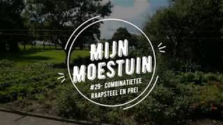 #29-mijn moestuin, combinatieteelt raapsteel en prei