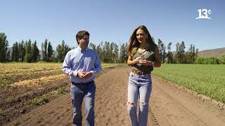 La electromovilidad en la agricultura