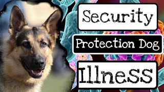 SECURITY PROTECTION DOG - Illness