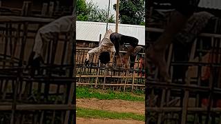 8 years young boy #shortvideo #explore #jumping #karbianglong #assam #talented #incredibleindia