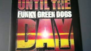 Funky Green Dogs -- Until The Day (Low Pass Speed Bump Mix)