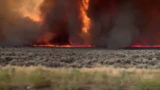 Огненный торнадо в Калифорнии | Fire tornado in California