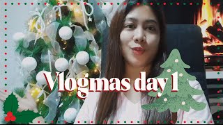 VLOGMAS DAY 1: CHRISTMAS TREE DECORATION | DS Cipre