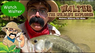 Did Walter find the BEST Fishing Pond in the World for Kids?