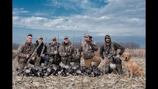 Chasse à l'outarde, en compagnie du guide Manuel Lévis - Goose Hunting