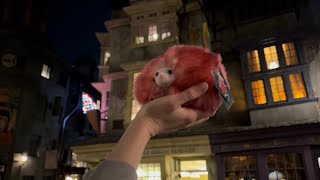 Universal Studios | Pygmy Puff Adoption & Cowfish