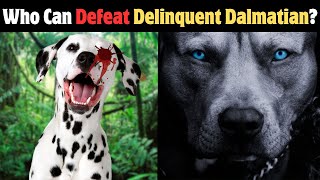 6 Dogs That Could Defeat A Delinquent Dalmatian