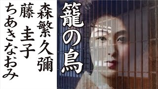 籠の鳥  Bird in a cage  ：  森繁久彌  ＆  藤 圭子  ＆  ちあき なおみ