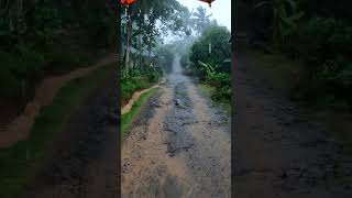 Suasana Pedesaan yang Sejuk Saat Hujan Deras Di Sore Hari, Kampung Yang Indah Bikin Betah #shorts