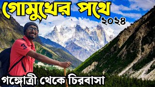 Gomukh tapovan trek |Gomukh trek|gomukh tapovan trek in Bengali|gomukh tapovan tour guide in Bengali